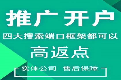 成功SEM推广竞价案例分享